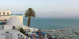 Tunis